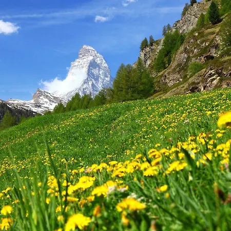 Daire Viscaria-1 By Interhome Zermatt